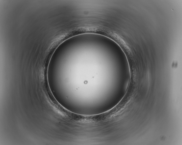 X0000097910537200803141421