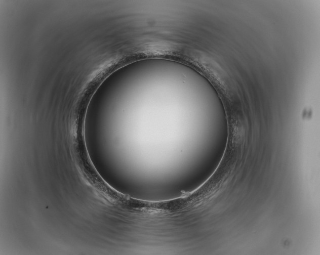 X0000097910539200803141421