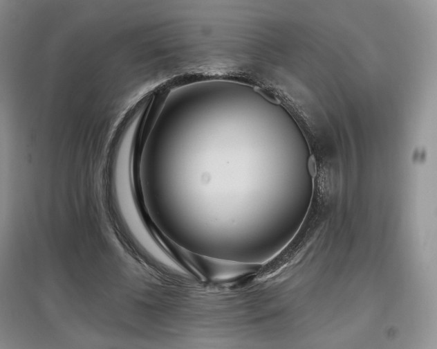 X0000097910540200803141421