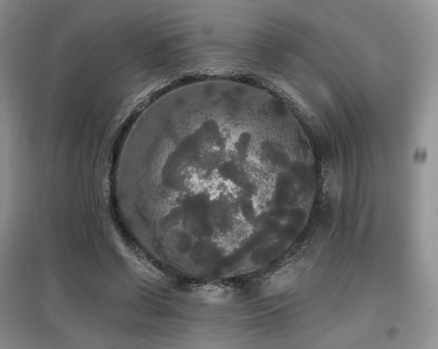 X0000097910542200803141421