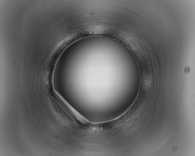 X0000097910543200803141421