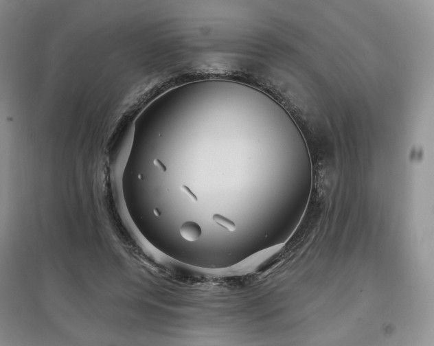 X0000097910544200803141421