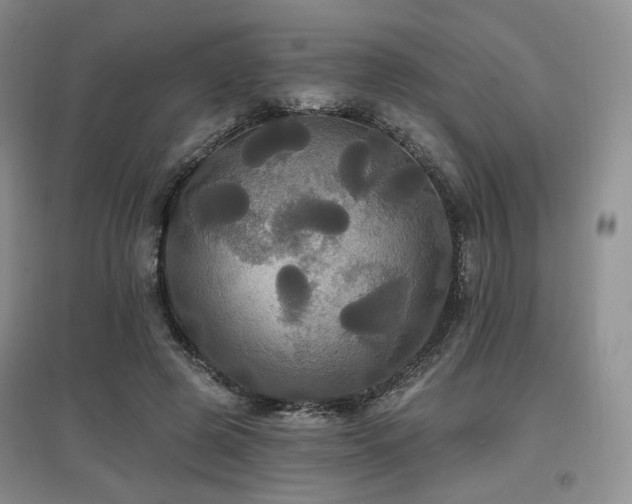 X0000097910545200803141421