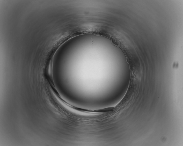 X0000097910546200803141421