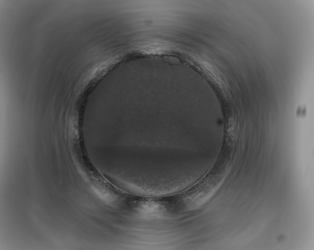 X0000097910547200803141421