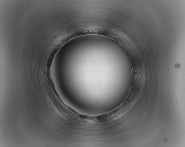 X0000097910548200803141421