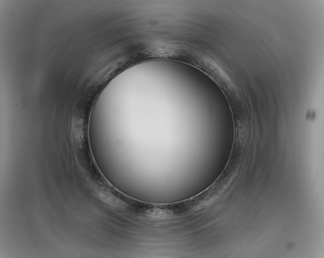 X0000097910549200803141421