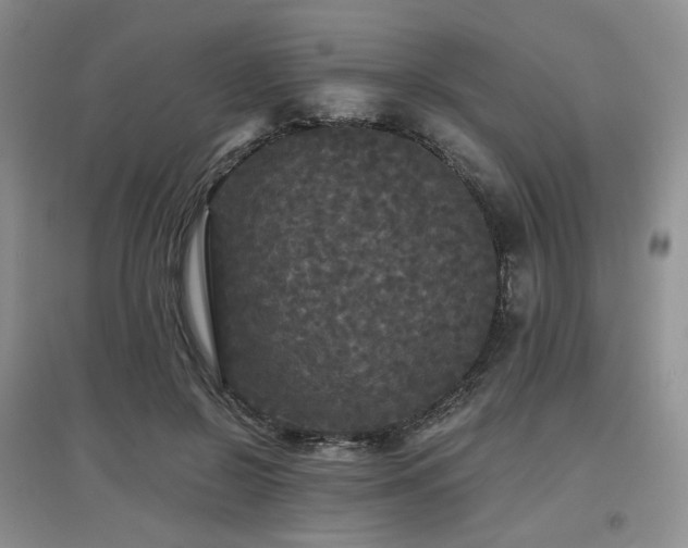 X0000097910550200803141421