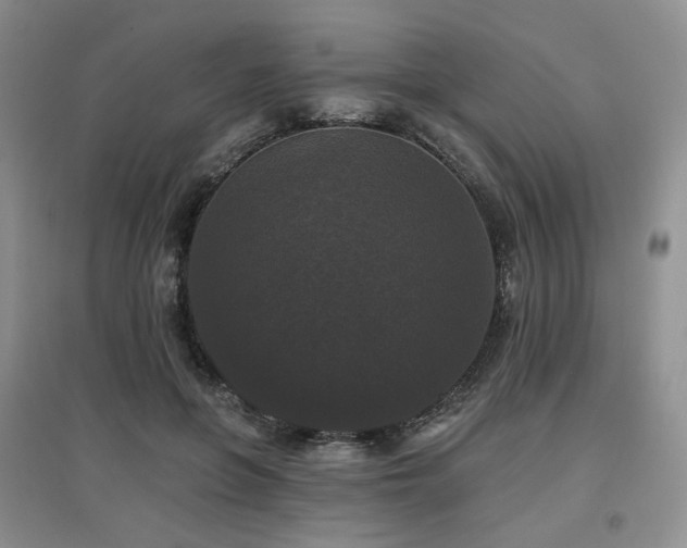 X0000097910551200803141421