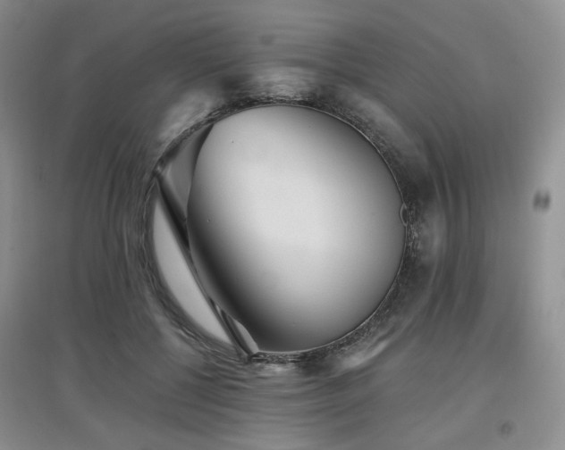 X0000097910552200803141421