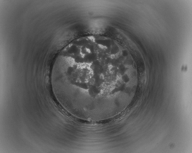 X0000097910553200803141421