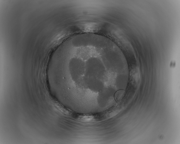 X0000097910554200803141421