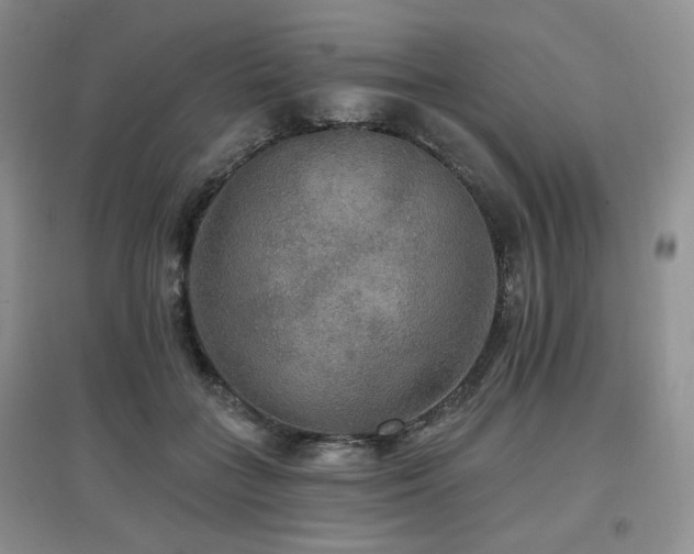 X0000097910555200803141421