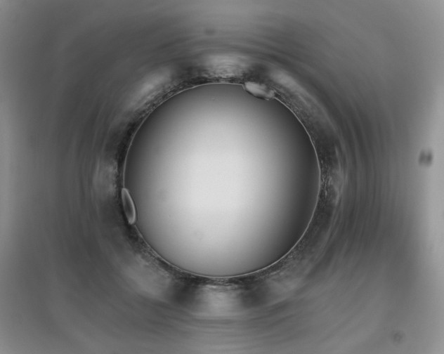 X0000097910556200803141421