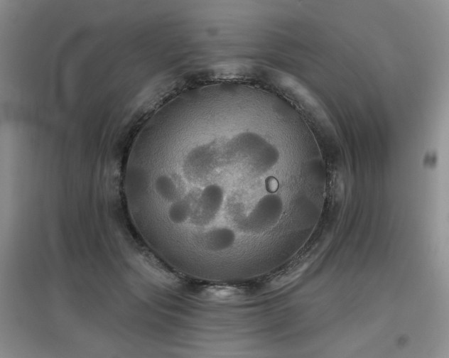 X0000097910557200803141421