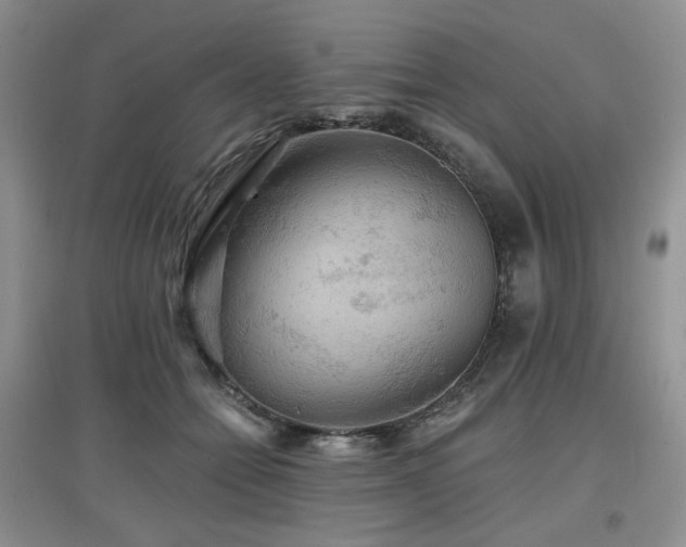 X0000097910558200803141421