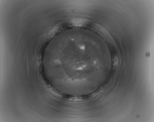 X0000097910559200803141421