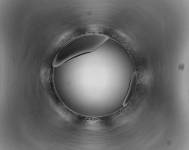 X0000097910560200803141421