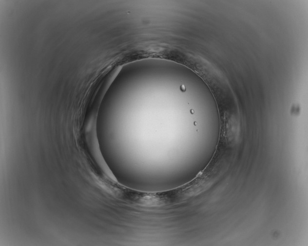 X0000097910562200803141421