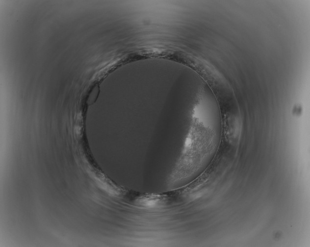 X0000097910563200803141421