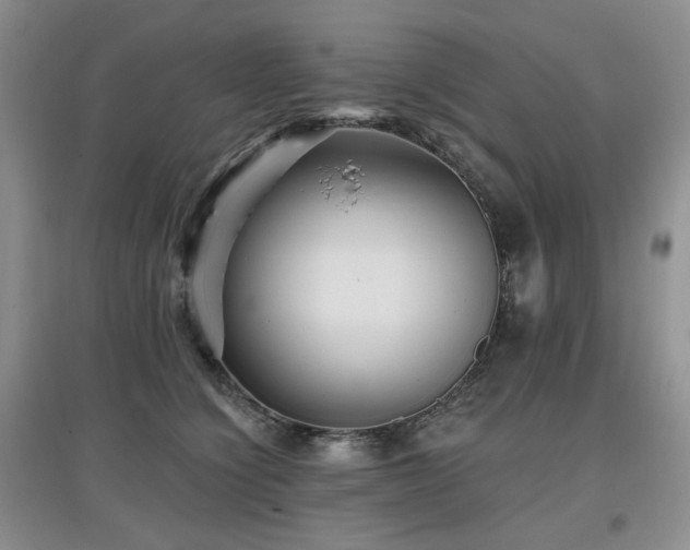 X0000097910564200803141421