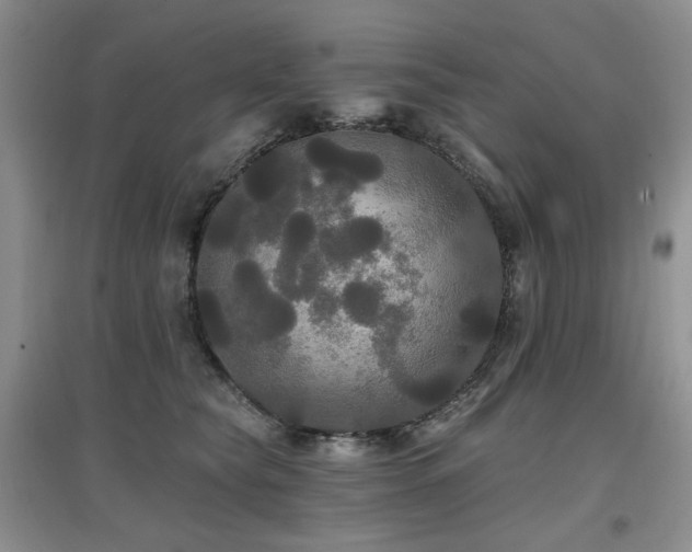 X0000097910565200803141421