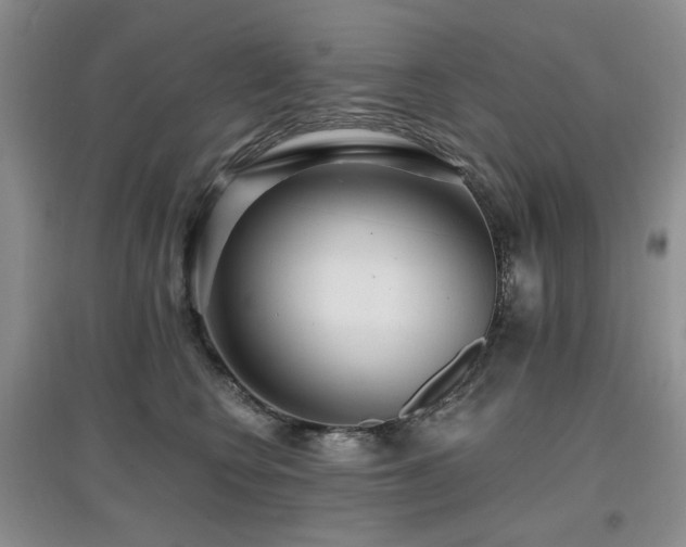 X0000097910566200803141421