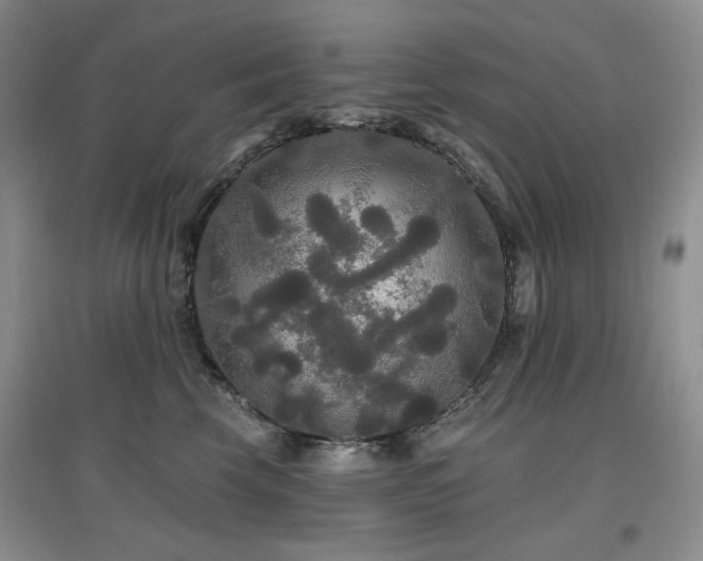 X0000097910569200803141421