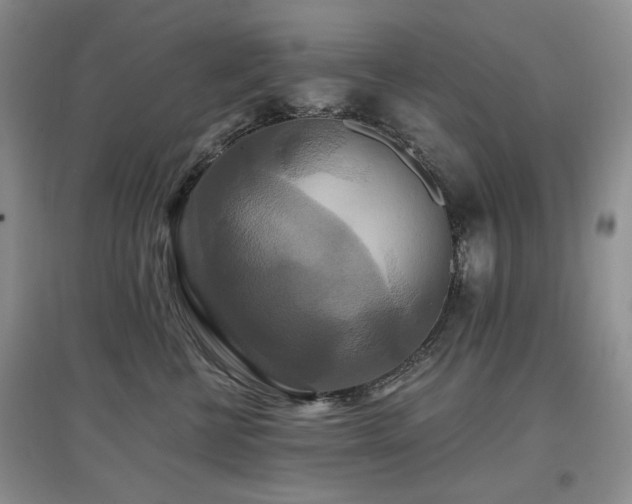 X0000097910570200803141421