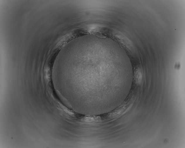 X0000097910571200803141421