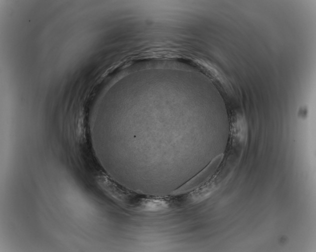 X0000097910572200803141421