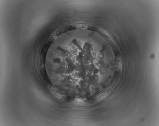 X0000097910573200803141421