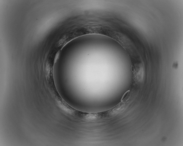 X0000097910574200803141421