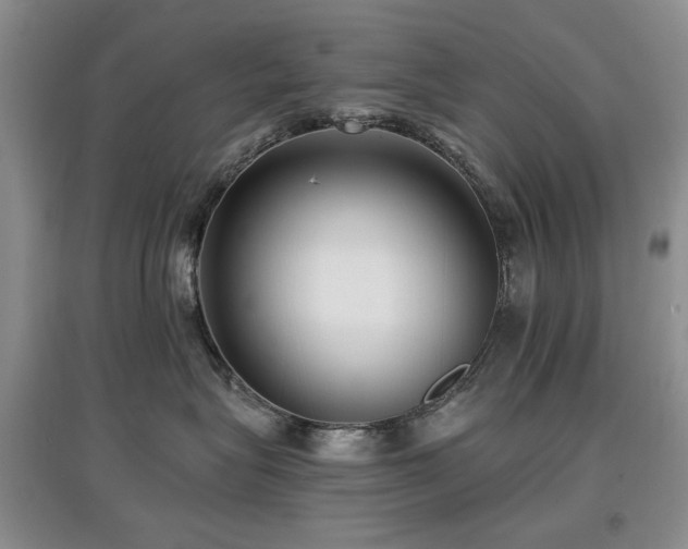 X0000097910575200803141421