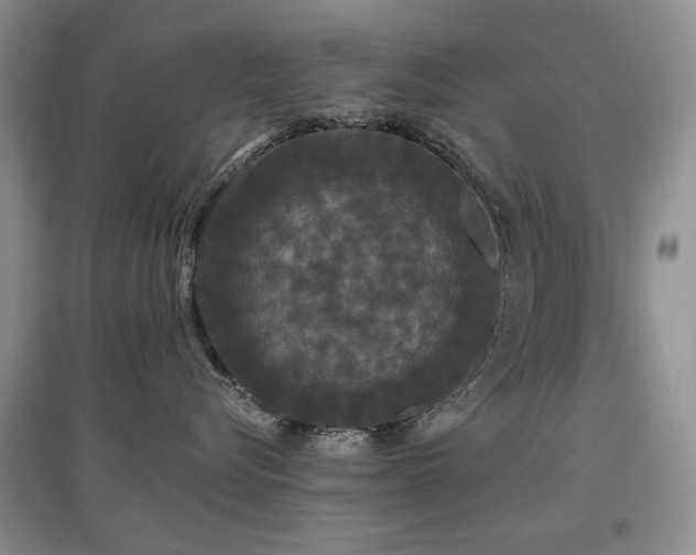 X0000097910576200803141421