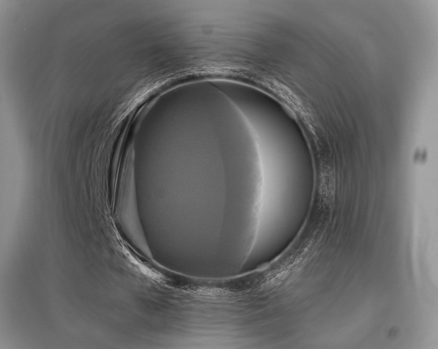 X0000097910577200803141421