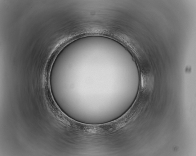 X0000097910579200803141421