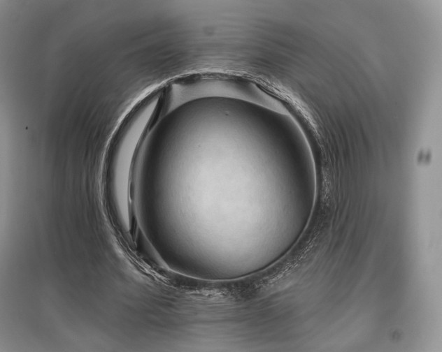 X0000097910580200803141420