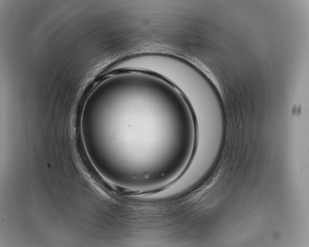 X0000097910581200803141420