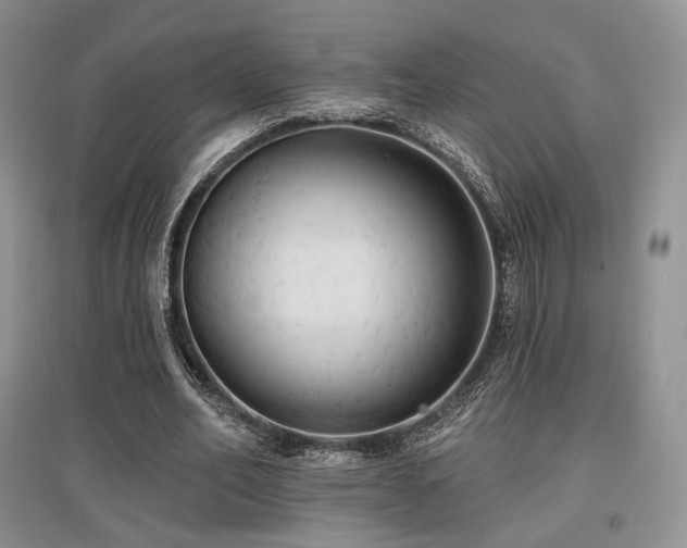 X0000097910582200803141420