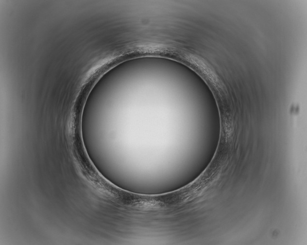 X0000097910583200803141420