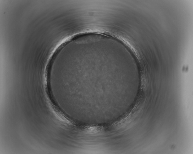 X0000097910584200803141420