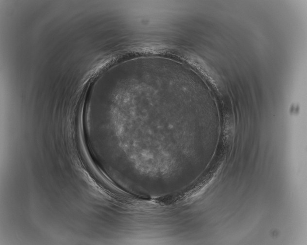 X0000097910585200803141420