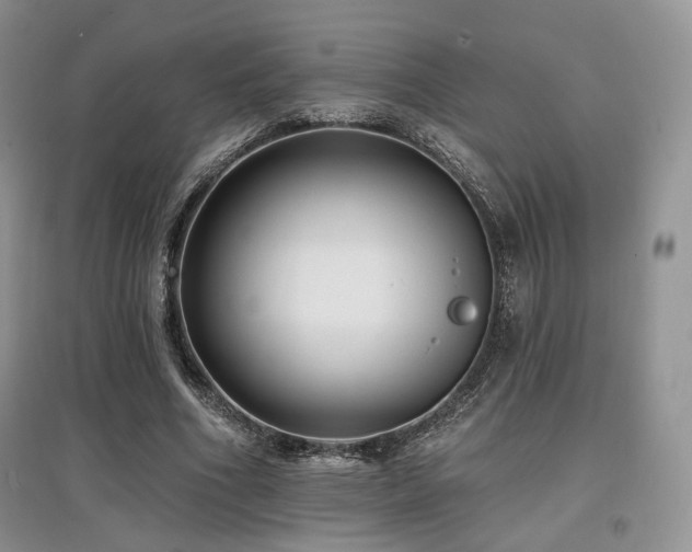 X0000097910586200803141420