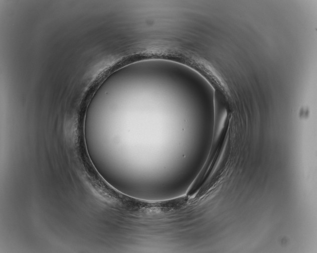 X0000097910588200803141420