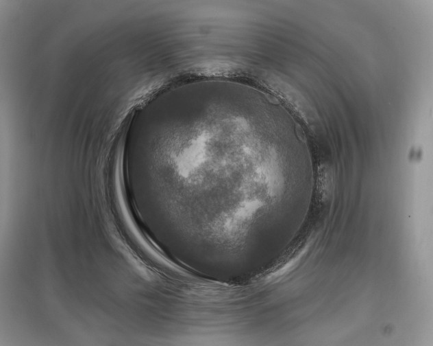 X0000097910589200803141420