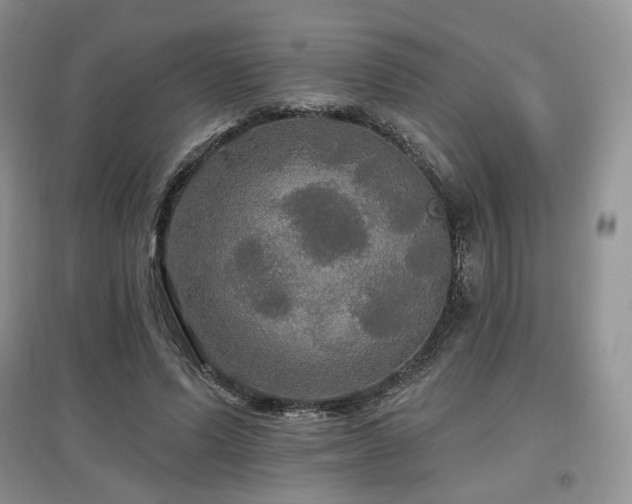 X0000097910591200803141420