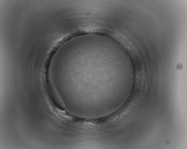 X0000097910592200803141420