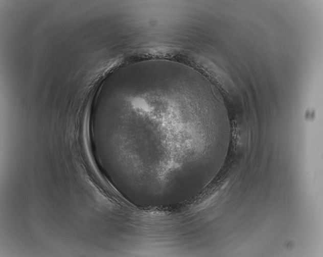 X0000097910593200803141420