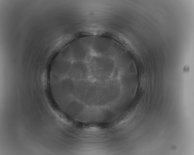 X0000097910594200803141420